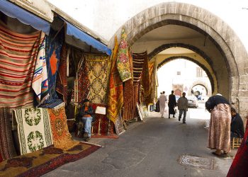 The Finest Marrakech Day Journeys to Essaouria and Palmeraie