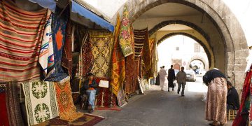 The Finest Marrakech Day Journeys to Essaouria and Palmeraie