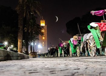 Information to Marrakech – Advisable Reserving Choices For Marrakech Day Journeys