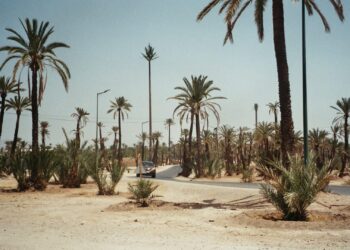 The Beautiful Gardens of Marrakech