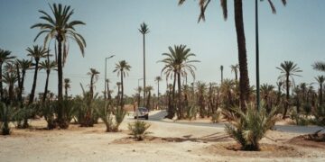 The Beautiful Gardens of Marrakech