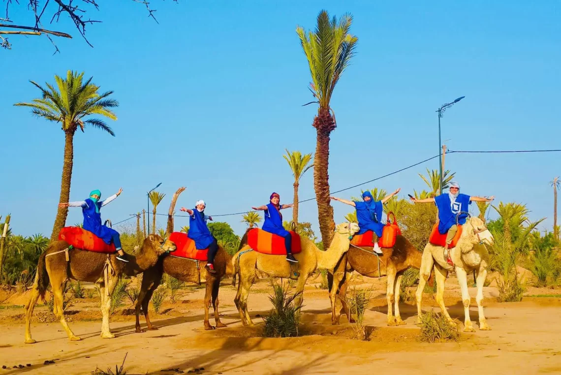 My Unforgettable Adventure: Camel Rides Near Me in Marrakech
