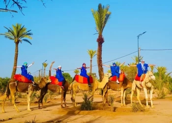 My Unforgettable Adventure: Camel Rides Near Me in Marrakech