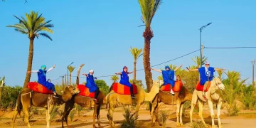 My Unforgettable Adventure: Camel Rides Near Me in Marrakech