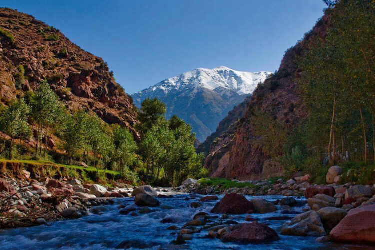 The best places to visit in Marrakech with a private transfer service.